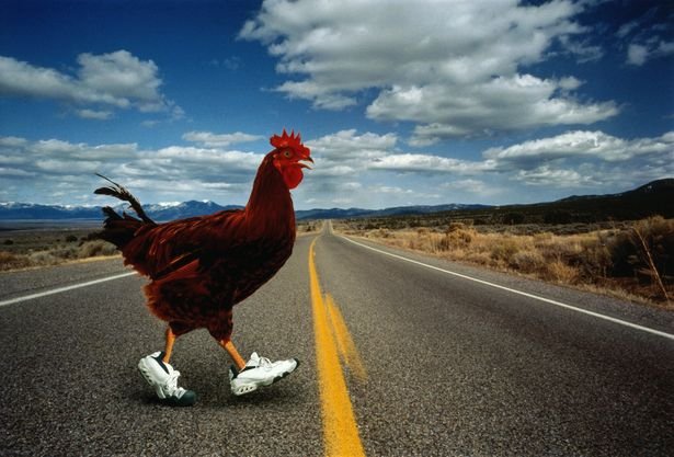 Meer over het populaire gokspel Chicken Road: Speel nu online in Nederland - overview